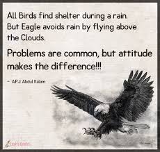 Eagle quotes & sayings animal quotes & sayings. All Birds Find Shelter During A Rain But Eagle Avoids Rain By Flying Above The Clouds Popular Inspirational Quotes At Emilysquotes