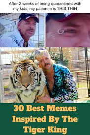 30 Best Memes Inspired By The Tiger King Funny Best Memes Friends Thanksgiving Episodes