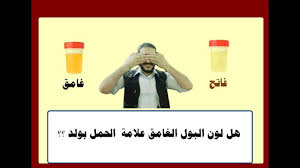 لون البول اصفر فسفوري هل حمل