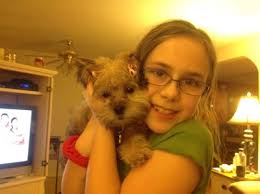 Phoebe & Harry's Previous Litter