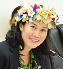 A 'political campaign at taxpayers' expense