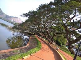 Welcome to the kurunegala google satellite map! 203 Kurunegala Photos Free Royalty Free Stock Photos From Dreamstime