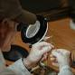 Fly Tying - Session 2 — Missouri Master event image