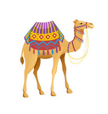 Camel cotton deep edge canvases camel c otton deep edge canvas 25x25cm boards w ith drawing surfaces. Two Hump Camel Vector Images Over 100