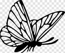 Butterfly 1 icons png butterfly clipart black and white butterfly black butterfly clipart bl. Butterfly Drawing Clip Art Black And White Transparent Png