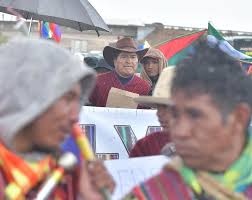 En la localidad de Pocohota, La Paz,...