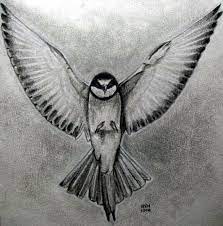 How To Draw A Realistic Bird, Draw Real Bird, Step By Step, Drawing Guide,  By Finalprodigy - Dragoart