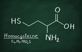 Image result for Homocysteine