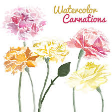 Watercolor Carnation Flower Clip Art For Scrapbooking Instant Etsy Flower Clipart Digital Flowers Carnation Flower
