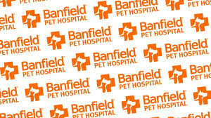 We did not find results for: A Look At Veterinary Organization Banfield Pet Hospital Plus Advice For Getting Hired