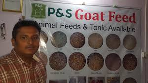 P&s goat feed extreme quality products. P And S Goat Feed Bakro Ka Khaana Youtube