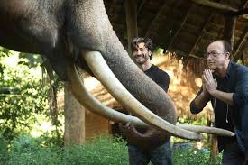 See more of junglee on facebook. Hollywood Filmmaker Chuck Russell Speaks About Junglee Vidyut Jammwal And The Mask