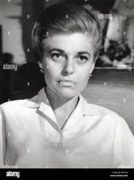 The bancroft hi-res stock photography and images