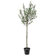 Fejka Artificial Potted Plant Indoor Outdoor Hanging Ikea Artificial Potted Plants Indoor Olive Tree Potted Trees