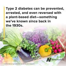 Diabetes typ 2 macht sich oft erst in einem höheren lebensalter bemerkbar. Ernahrung Gegen Diabetes Vegane Gesellschaft Osterreich