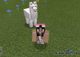 Part i, is an upcoming major update to java edition set to release on june 8, 2021. Carry Mobs Addon For Minecraft Pe 1 16 1 17