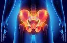 Your Nervous System & Pelvic Floor Connection