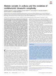 Image result for Warneckea sp.