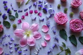 Maybe you would like to learn more about one of these? How To Create A Flower Flat Lay B Floral