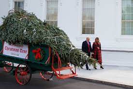 We did not find results for: Real Vs Artificial Christmas Trees Which Is The Greener Choice The New York Times