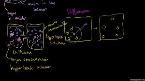 A concentration gradient is present when a. Diffusion And Osmosis Video Khan Academy