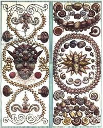 Maybe you would like to learn more about one of these? Albertus Seba S Cabinet Of Wonder And Awe Biodiversity Heritage Library
