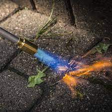 However, if done incorrectly, simply throwing weeds away after removing them from the ground can still scatter their seeds, leaving you right back where you started — with a garden full of weeds. How To Remove Weeds With A Torch Weed Burner Bernzomatic