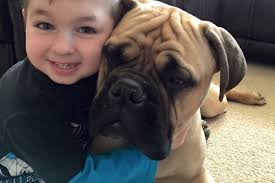 Fundraiser by Nicholas Chimenti : Help For Sierra