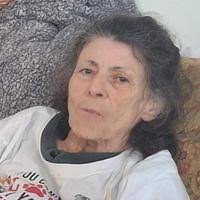 Sharon Lee Kempfer Obituary (2025)