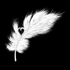 Inspirational small feather tattoos, meanings and designs for on the foot, wrist, arm or hip. Tattoo Design Feather By I R Annet On Deviantart