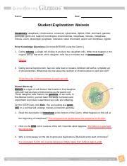 What happens to the cell at the beginning of interphase? Gizmo Meiosisse Docx Name Date Student Exploration Meiosis Vocabulary Anaphase Chromosome Crossover Cytokinesis Diploid Dna Dominant Gamete Genotype Course Hero