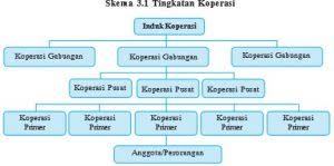 Dalam pasal 24 ayat 4 uu no. Jenis Jenis Koperasi Berdasarkan Jenis Usahanya