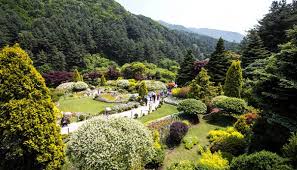 We earn a commission for products purchased through some links in this article. The Garden Of Morning Calm Most Beautiful Garden In Korea Onedaykorea Travel Blog