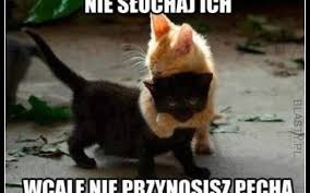 We did not find results for: 3iptchuazutaim