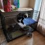 oem extra large rabbit cage indoor from www.reddit.com