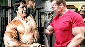 arnold schwarzenegger gym training in 2019 still working out strong at 71 years old