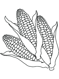 Sweet corn coloring page design. Corn Coloring Pages Best Coloring Pages For Kids