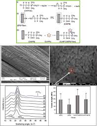Hassan, pretreatment of oil palm empty fruit fiber (opefb) with aquaeous ammonia for high production. Modification Of Oil Palm Empty Fruit Bunch Fibers By Nanoparticle Impregnation And Alkali Treatment Springerlink