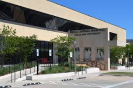 Veterinary Hospital Texas A M Veterinary Medical Teaching Hospital
