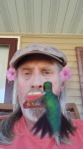 Some frames from my petunia-bait experiment.