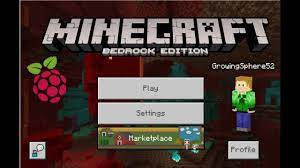You will need to port forward the port 19132 (unless you change it in the server properties) to the local ip address of your raspberry pi.keep in mind opening ports always increases the security risk from outside sources. How To Install Minecraft On The Raspberry Pi 4 Youtube
