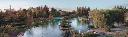 The stony bridges and footpaths wind along a central pond, flanked by rockwork, manicured trees and tea houses. The Japanese Garden