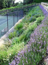 Garden Design By Cornwall Designer Based In Falmouth Tennis Court Landscaping Sloped Garden Hillside Landscaping Steep Gardens