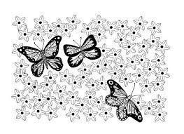 Coloring pages with birds in floral garden. Butterfly Garden Adult Coloring Page Favecrafts Com