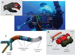 We did not find results for: A Dexterous Glove Based Teleoperable Low Power Soft Robotic Arm For Delicate Deep Sea Biological Exploration Scientific Reports
