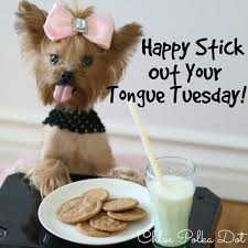 14) good morning tuesday ! Tuesday Morning Quotes Funny Tuesday Humor Tuesday Quotes Good Morning