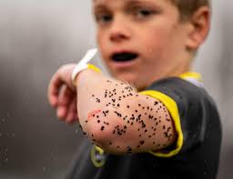 Sports Photographer & Videographer