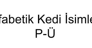 Alfabetik Kedi Isimleri A E Kedi Forum Kedi Isimleri