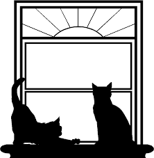 Find out how vaccinations protect your cat from serious diseases. London Cat Clinic Home Page Veterinary Hospital London On Veterinarian