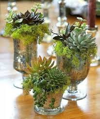 Forget about watering these arrangements and you'll be fine. Succulent Plants As St Patrick S Day Decorations